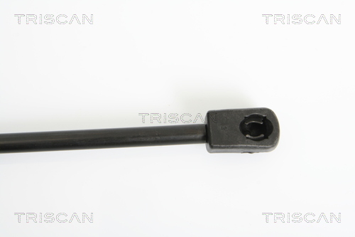 TRISCAN 8710 24231 Gasfjäder, bagageutrymme