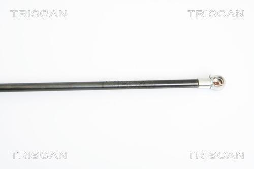 TRISCAN 8710 24232 Gasfjäder, bagageutrymme