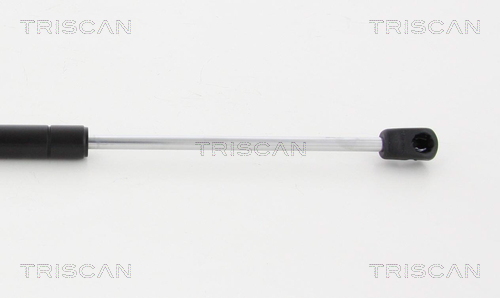 TRISCAN 8710 24245 Gasfeder, Heckscheibe