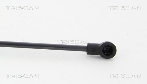 TRISCAN 8710 24246 Gasfjäder, bagageutrymme