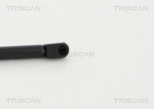 TRISCAN 8710 24252 Gasfjäder, bagageutrymme