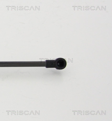 TRISCAN 8710 24254 Gasfjäder, bagageutrymme