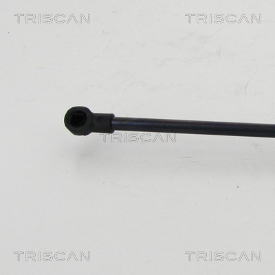 TRISCAN 8710 24256 Gasfjäder, bagageutrymme