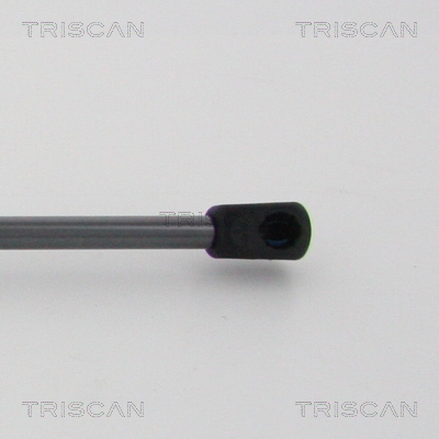 TRISCAN 8710 24258 Gasfjäder, bagageutrymme