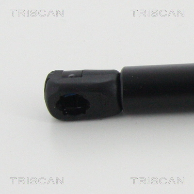 TRISCAN 8710 24259 Gasfjäder, bagageutrymme