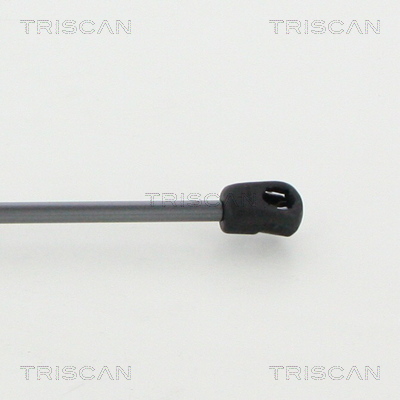 TRISCAN 8710 24261 Gasfjäder, bagageutrymme