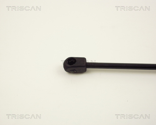 TRISCAN 8710 2428 Gasfjäder, bagageutrymme