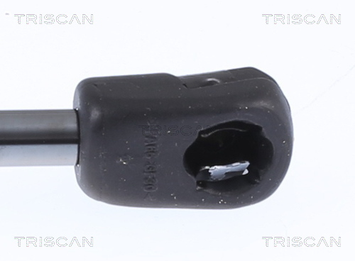 TRISCAN 8710 24291 Gasfjäder, bagageutrymme