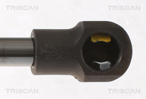 TRISCAN 8710 24293 Gasfjäder, bagageutrymme
