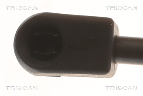 TRISCAN 8710 24295 Gasfeder, Motorhaube