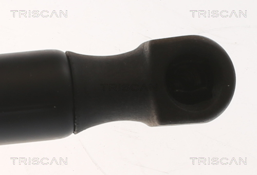 TRISCAN 8710 24295 Gasfeder, Motorhaube