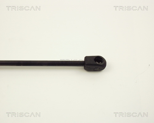TRISCAN 8710 2429 Gasfjäder, bagageutrymme