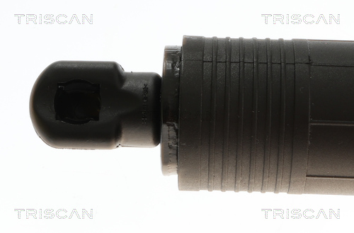 TRISCAN 8710 24301 Gasfeder, Koffer-/Laderaum