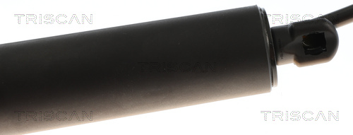 TRISCAN 8710 24301 Gasfeder, Koffer-/Laderaum