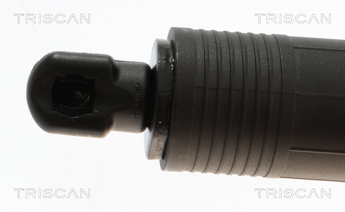 TRISCAN 8710 24302 Gasfeder, Koffer-/Laderaum