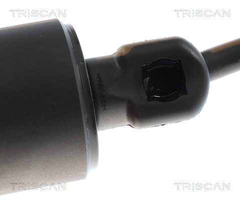 TRISCAN 8710 24302 Gasfeder, Koffer-/Laderaum
