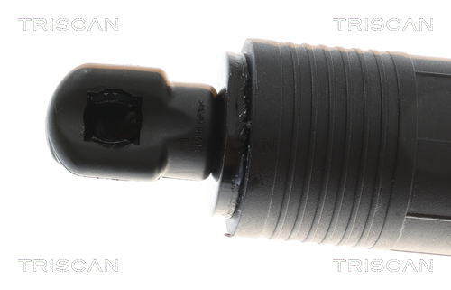 TRISCAN 8710 24303 Gasfeder, Koffer-/Laderaum