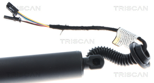 TRISCAN 8710 24303 Gasfeder, Koffer-/Laderaum