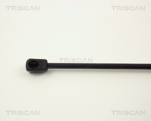 TRISCAN 8710 2431 Gasfjäder, bagageutrymme