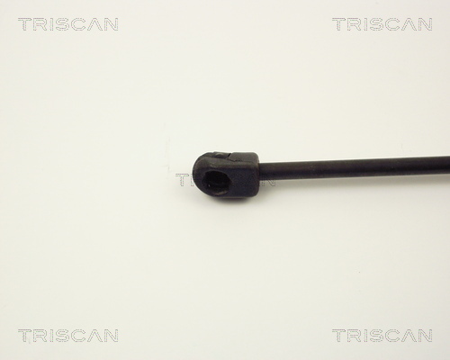TRISCAN 8710 2432 Gasfjäder, bagageutrymme