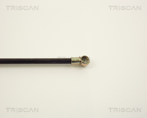 TRISCAN 8710 2508 Gasfeder, Koffer-/Laderaum