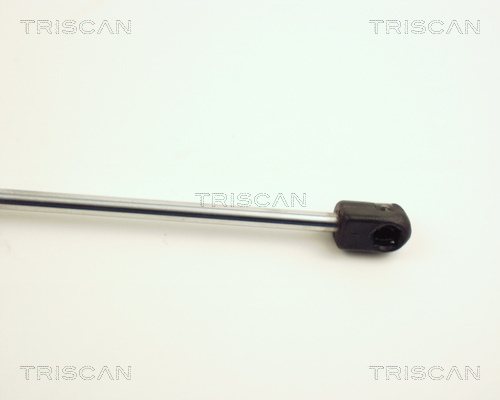 TRISCAN 8710 25100 Gasfeder, Motorhaube