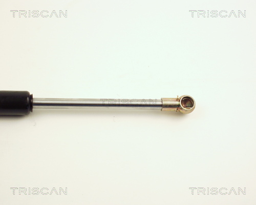 TRISCAN 8710 25101 Gasfeder, Motorhaube