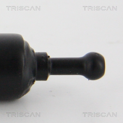 TRISCAN 8710 25105 Gasfeder, Motorhaube