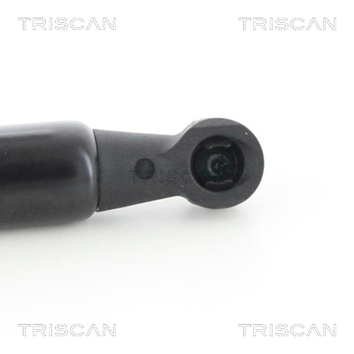 TRISCAN 8710 25107 Gasfeder, Motorhaube