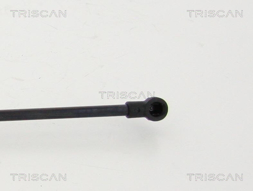 TRISCAN 8710 25108 Gasfeder, Motorhaube