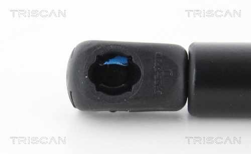 TRISCAN 8710 25110 Gasfeder, Motorhaube
