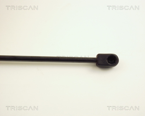 TRISCAN 8710 25202 Gasfjäder, bagageutrymme