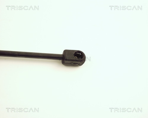 TRISCAN 8710 25204 Gasfjäder, bagageutrymme