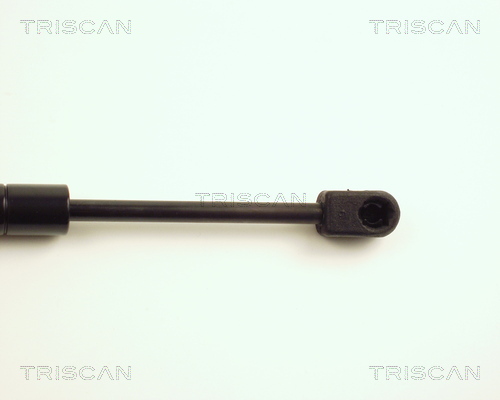 TRISCAN 8710 25205 Gasfjäder, bagageutrymme