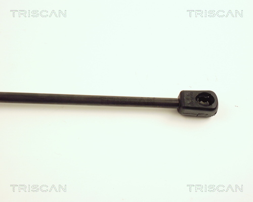TRISCAN 8710 25207 Gasfjäder, bagageutrymme