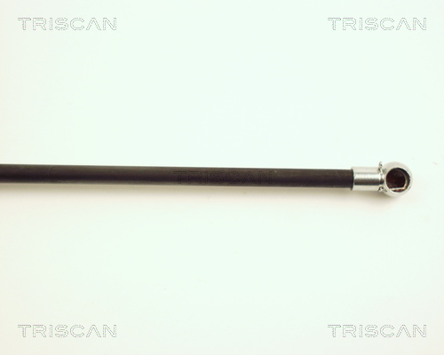 TRISCAN 8710 25220 Gasfjäder, bagageutrymme