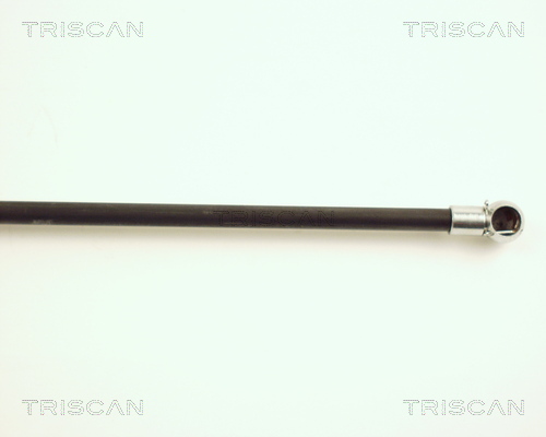 TRISCAN 8710 25222 Gasfjäder, bagageutrymme