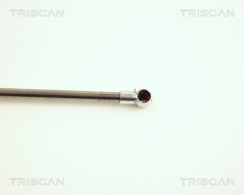 TRISCAN 8710 25223 Gasfjäder, bagageutrymme