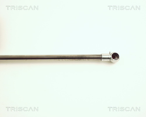 TRISCAN 8710 25225 Gasfjäder, bagageutrymme