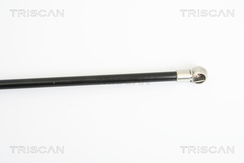 TRISCAN 8710 25229 Gasfjäder, bagageutrymme