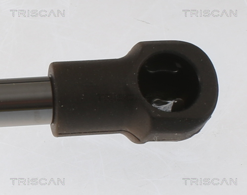 TRISCAN 8710 25233 Gasfjäder, bagageutrymme