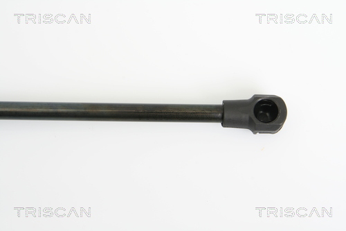 TRISCAN 8710 25234 Gasfjäder, bagageutrymme