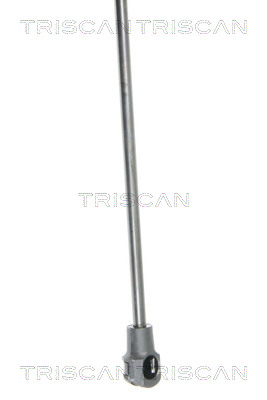 TRISCAN 8710 25235 Gasfeder, Heckscheibe