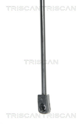 TRISCAN 8710 25238 Gasfjäder, bagageutrymme