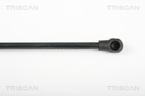 TRISCAN 8710 25241 Gasfeder, Heckscheibe