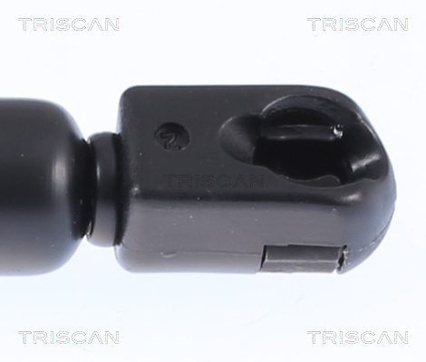 TRISCAN 8710 25242 Gasfjäder, bagageutrymme