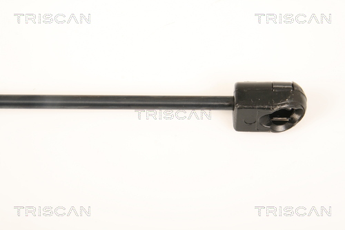 TRISCAN 8710 25247 Gasfeder, Heckscheibe