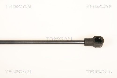 TRISCAN 8710 25248 Gasfeder, Heckscheibe