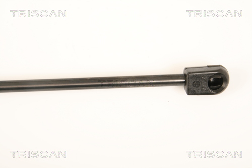 TRISCAN 8710 25250 Gasfjäder, bagageutrymme