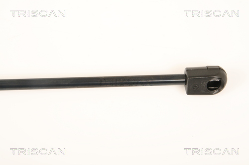 TRISCAN 8710 25251 Gasfeder, Heckscheibe